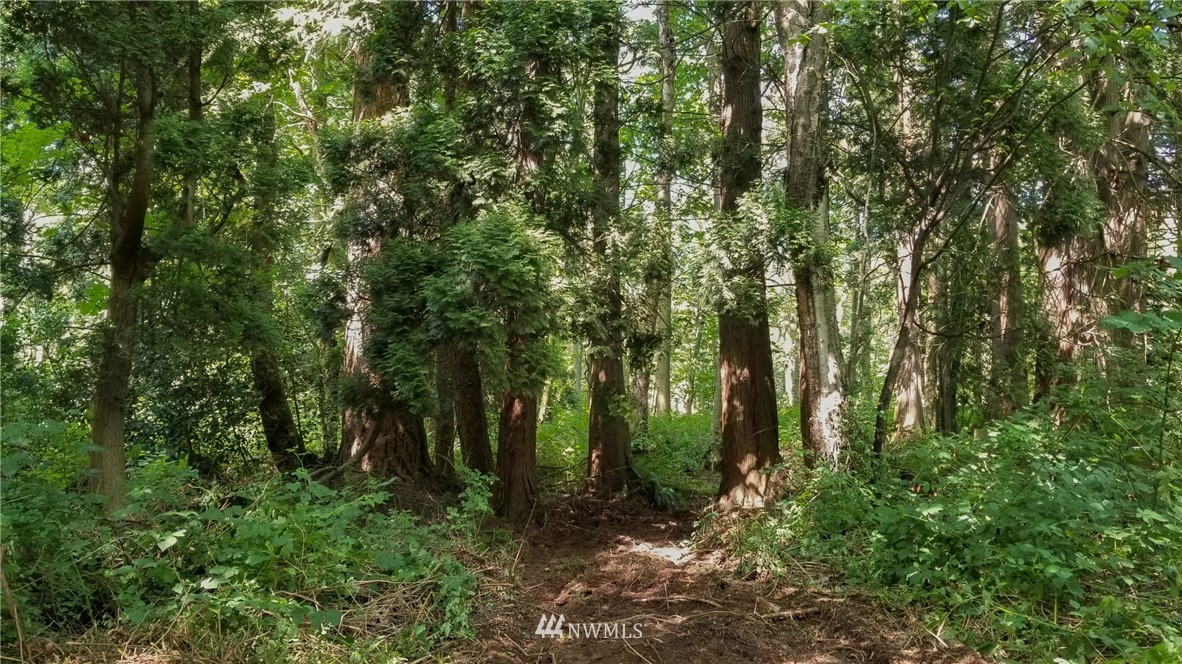 6148 A Kickerville Road Ferndale, WA 98248 - Photo 9 of 26