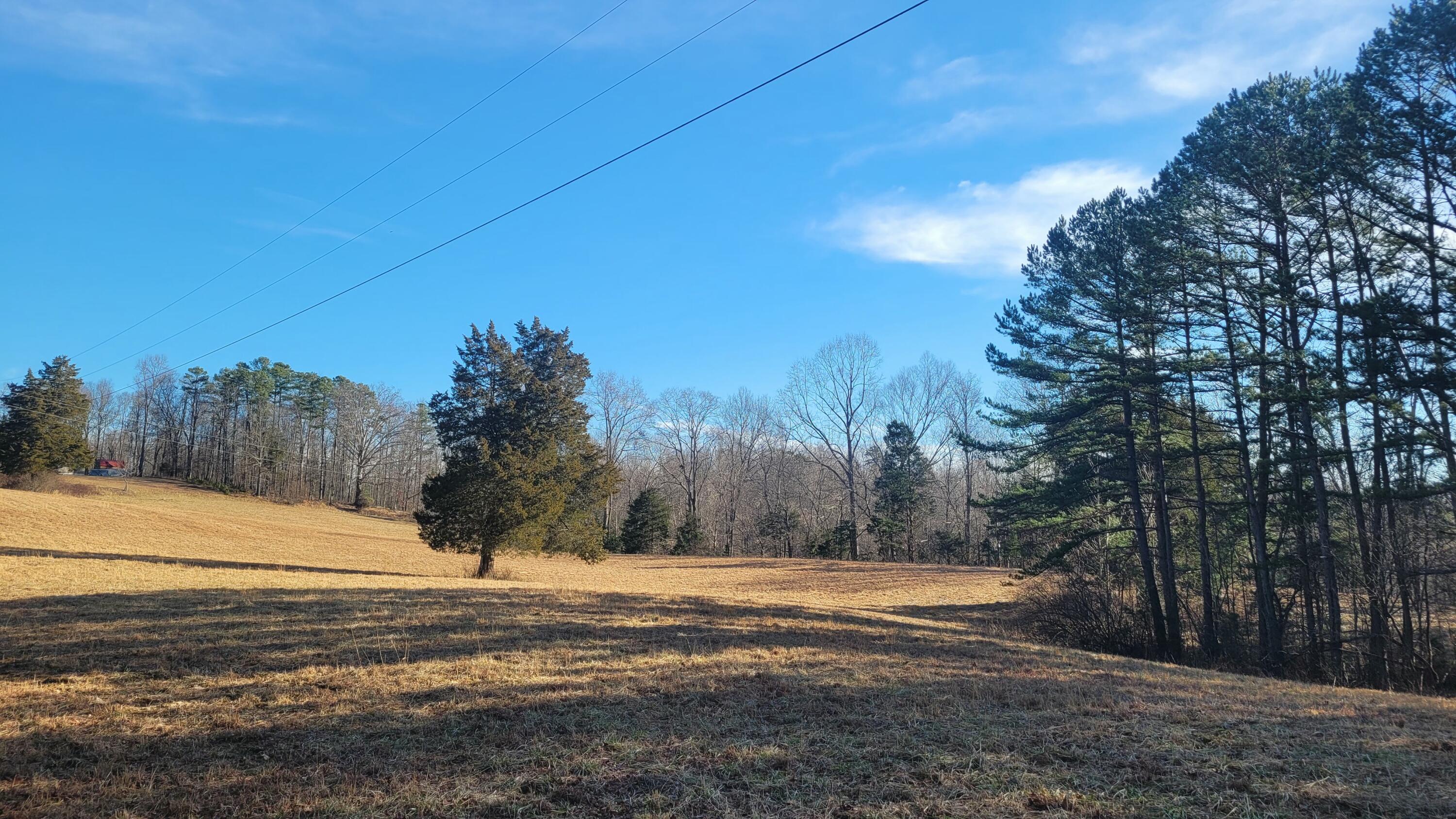 1330 Pea Ridge Road Somerset, KY 42501 - Photo 12 of 14 20250203_095826