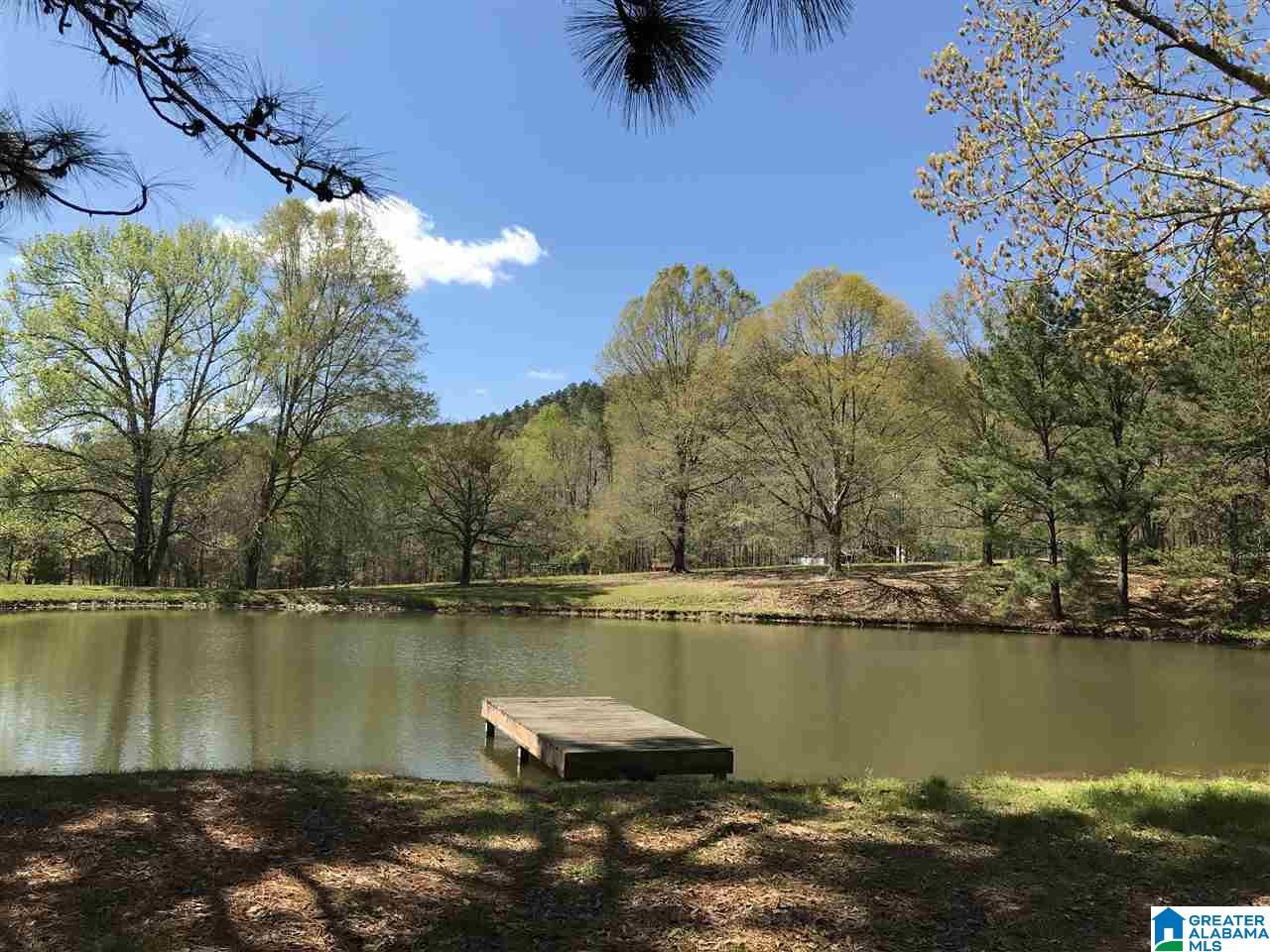 346 Hunters Lane Vandiver, AL 35176 - Photo 1 of 38