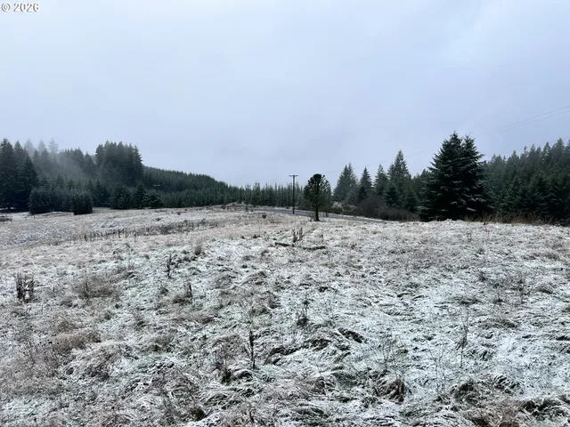a view of a balcony with wooden floor