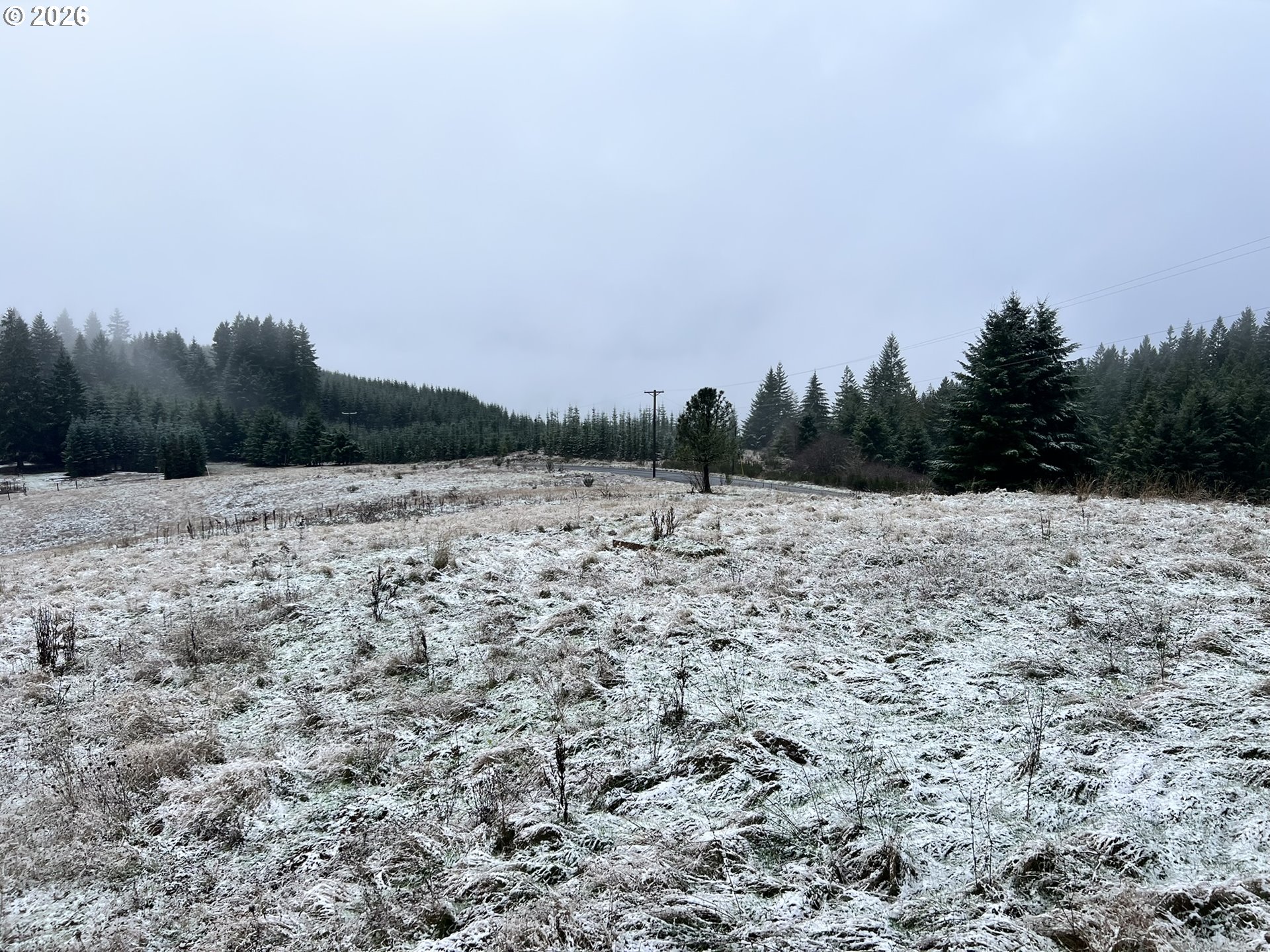 24450 Northwest Pumpkin Ridge Road North Plains, OR 97133 - Photo 29 of 48 Gallery Image 29
