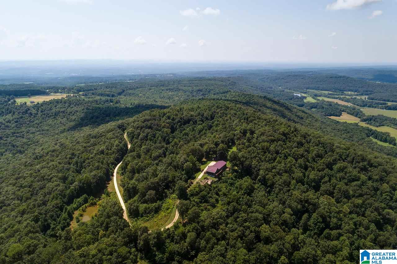 1458 Warnock Peak Road Hayden, AL 35079 - Photo 6 of 50
