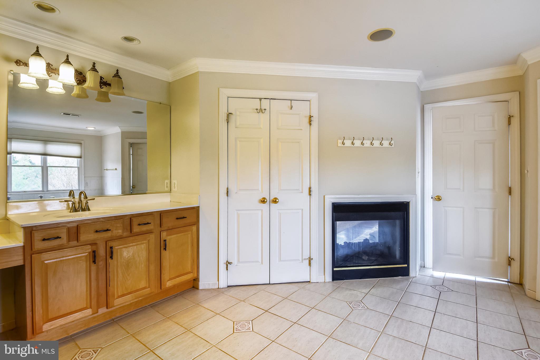 20179 Gleedsville Road Leesburg, VA 20175 - Photo 19 of 78 Owner's bath with fireplace