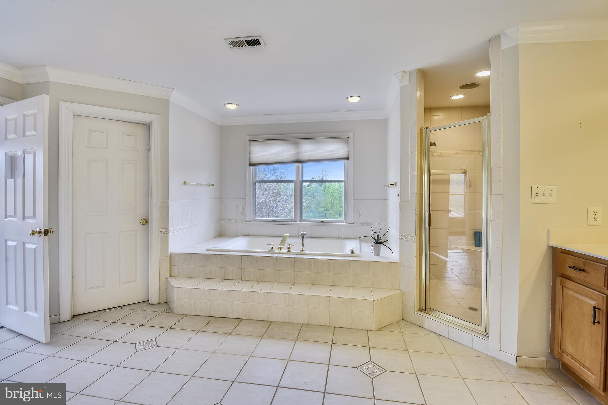 20179 Gleedsville Road Leesburg, VA 20175 - Photo 20 of 78 Shower and separate soaking tub