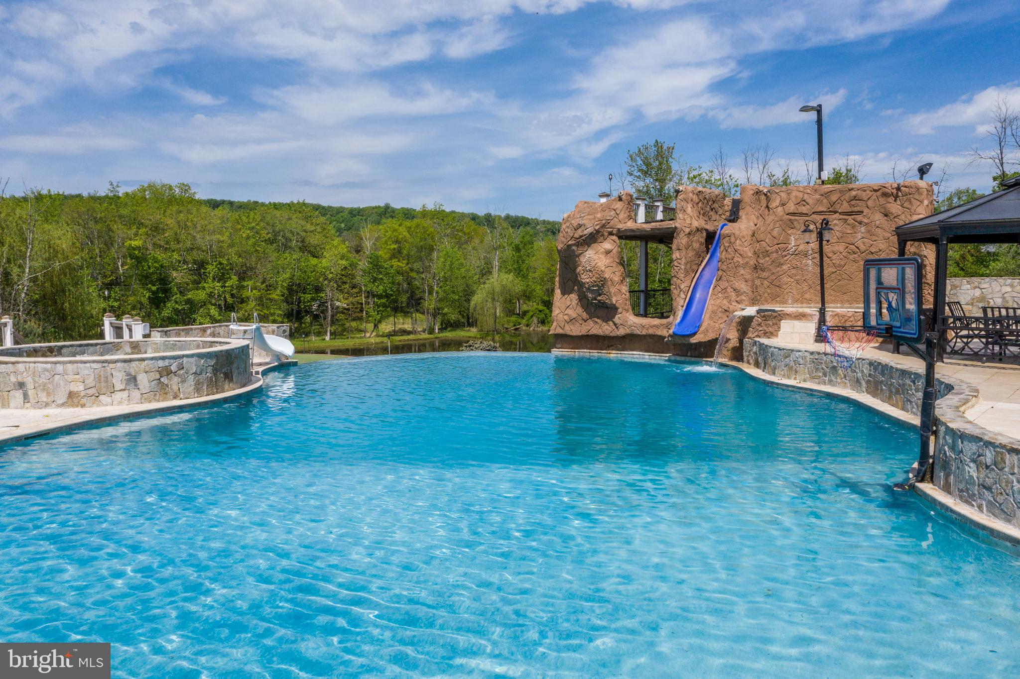 20179 Gleedsville Road Leesburg, VA 20175 - Photo 4 of 78 120,000-gal infinity edged salt water heated pool