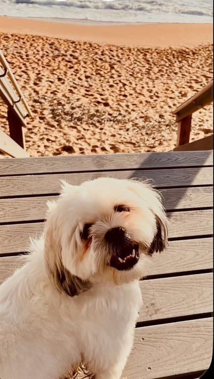 56 Apian Way Ormond Beach, FL 32174 - Photo 27 of 27