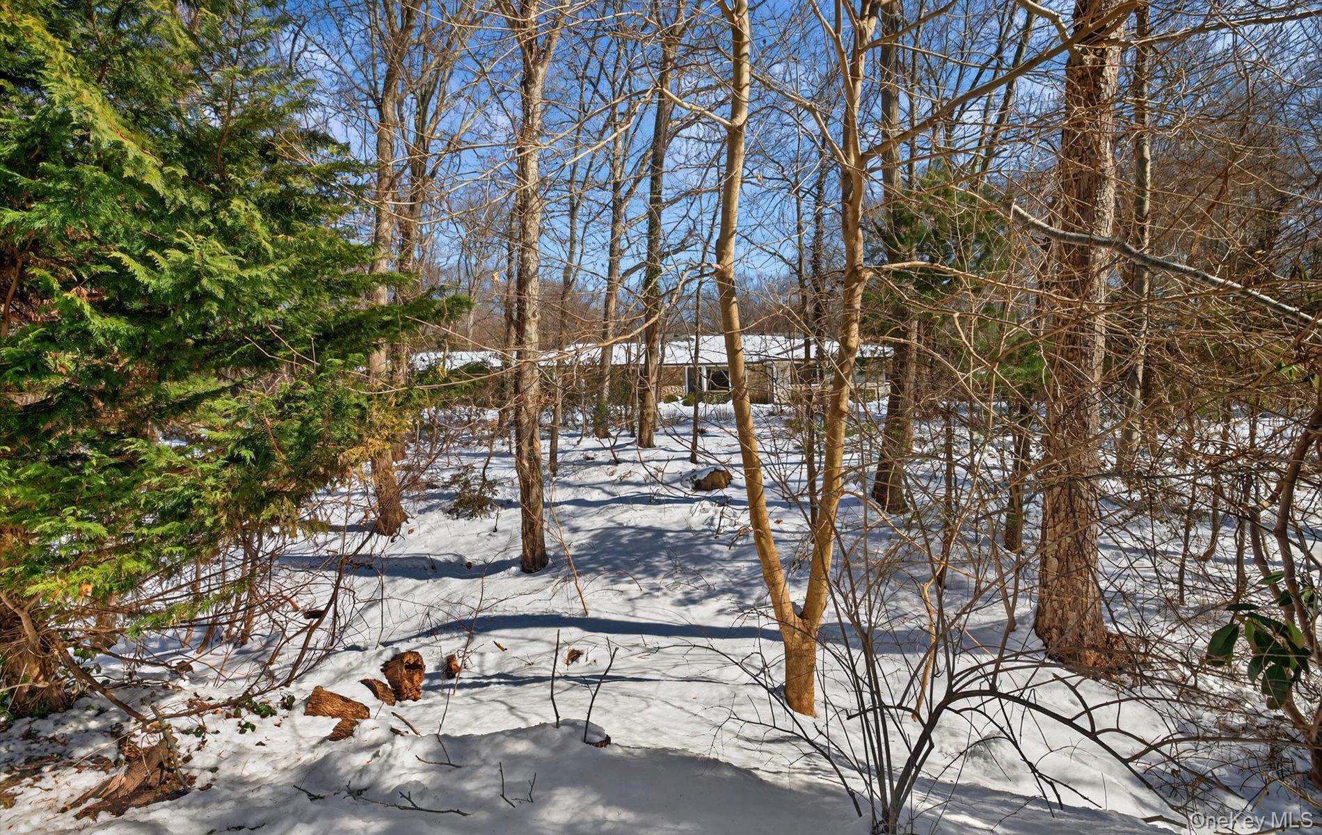 15 Tiber Road Syosset, NY 11791 - Photo 50 of 50