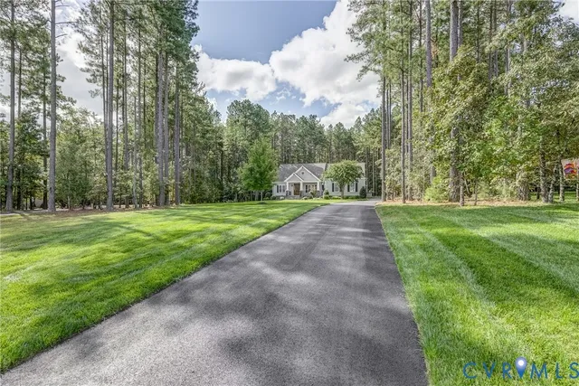 a view of a park with large trees