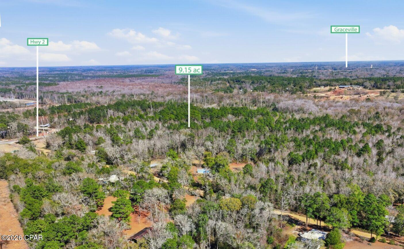 0 J S Jones Road Graceville, FL 32440 - Photo 3 of 7