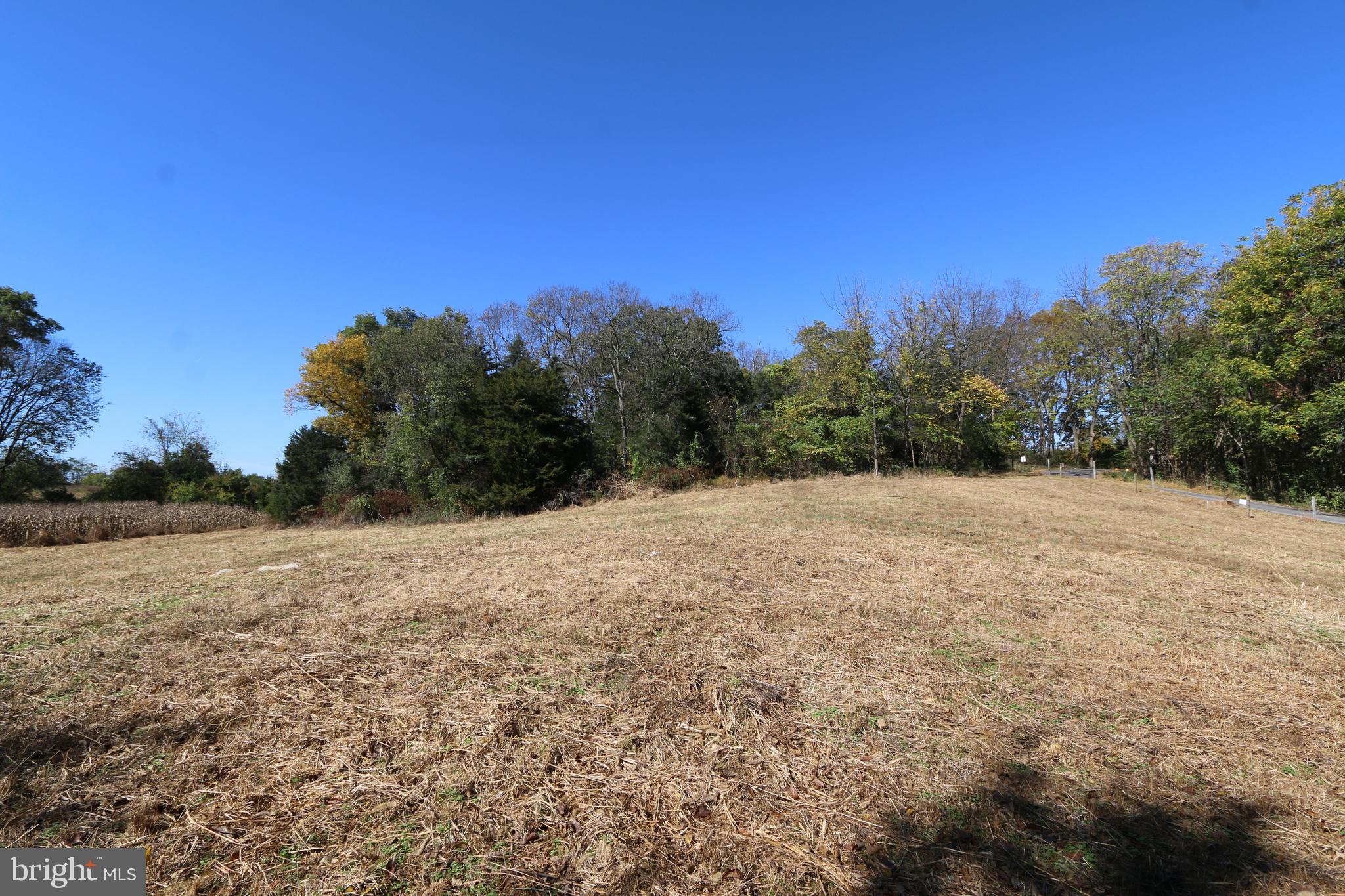 8882 Jordan Road Williamsport, MD 21795 - Photo 4 of 5 Gallery Image 4
