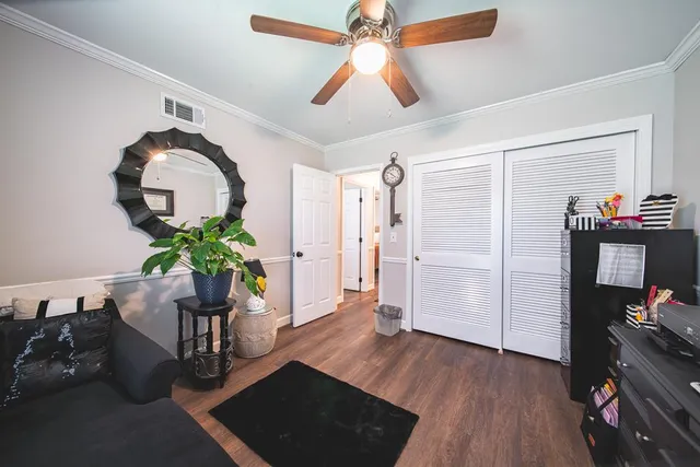 a living room with furniture and a potted plant