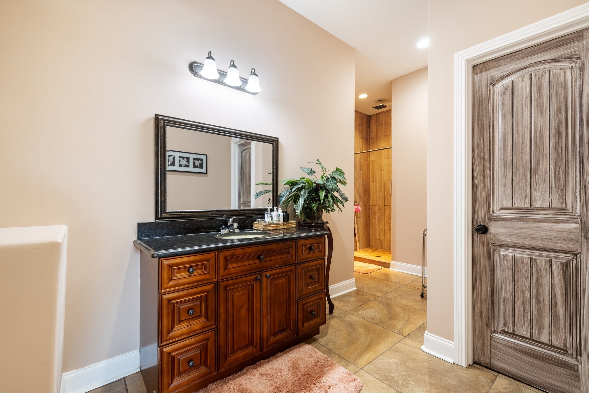 4785 Pulliam-Hardaway Road Springfield, TN 37172 - Photo 32 of 67 a bathroom with a granite countertop sink a mirror and a shower
