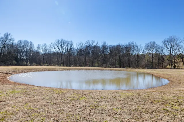 a view of a backyard of the house