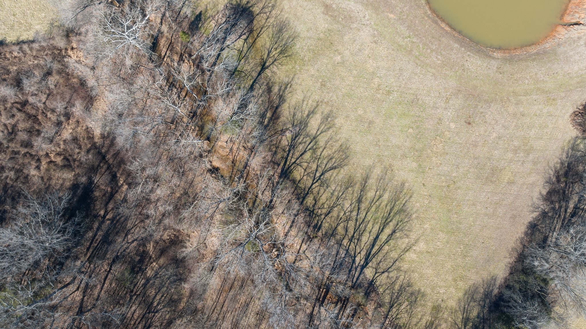 4785 Pulliam-Hardaway Road Springfield, TN 37172 - Photo 56 of 67