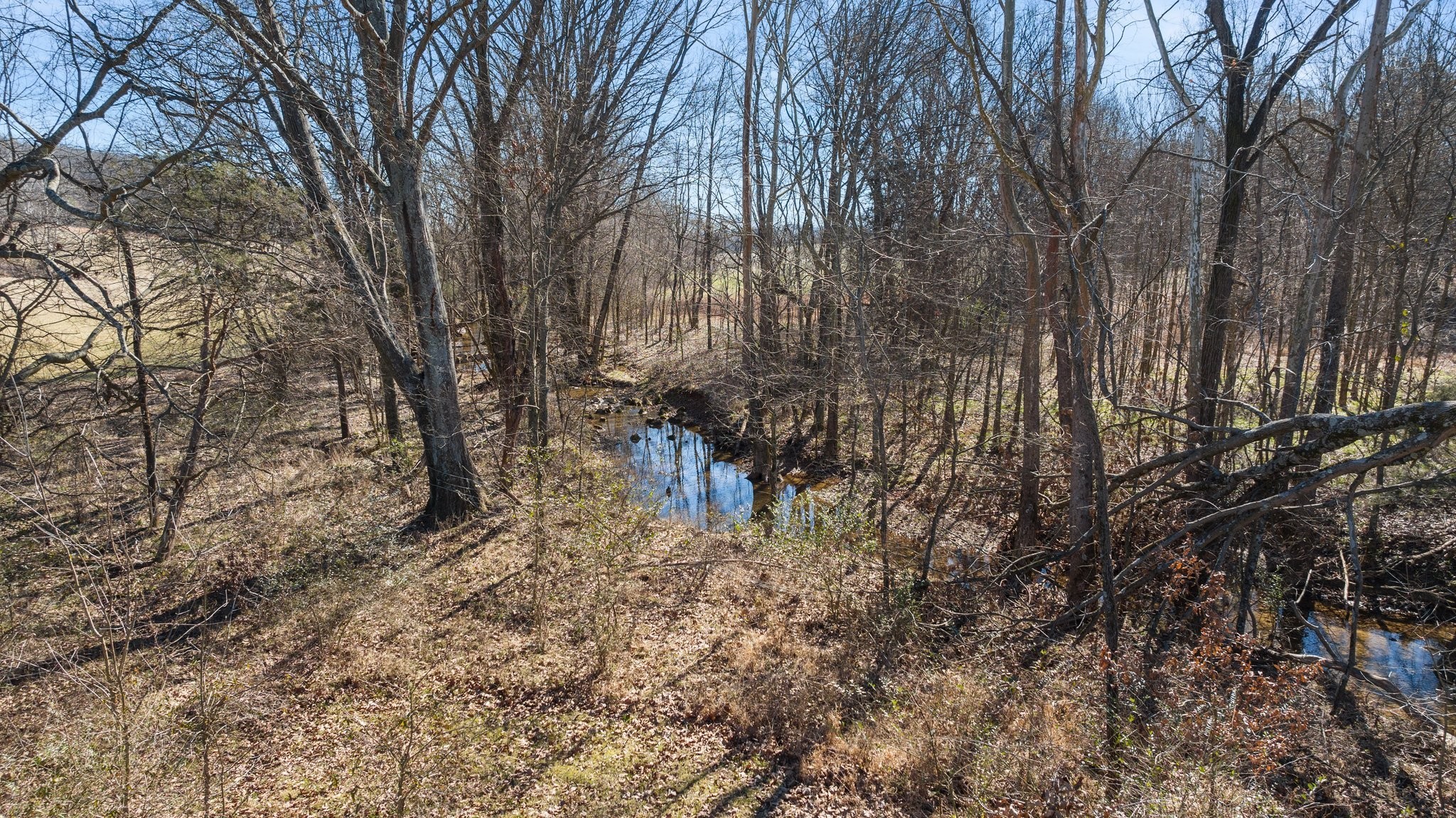 4785 Pulliam-Hardaway Road Springfield, TN 37172 - Photo 65 of 67 a backyard of a house with lots of green space