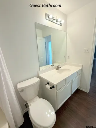 a bathroom with a sink mirror vanity and toilet