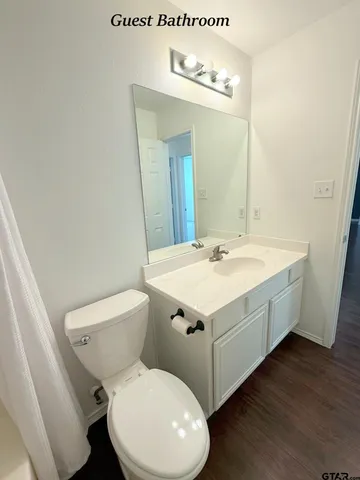 a bathroom with a sink mirror vanity and toilet