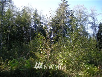 2265 Calawah Way Forks, WA 98331 - Photo 1 of 1 Gallery Image 1