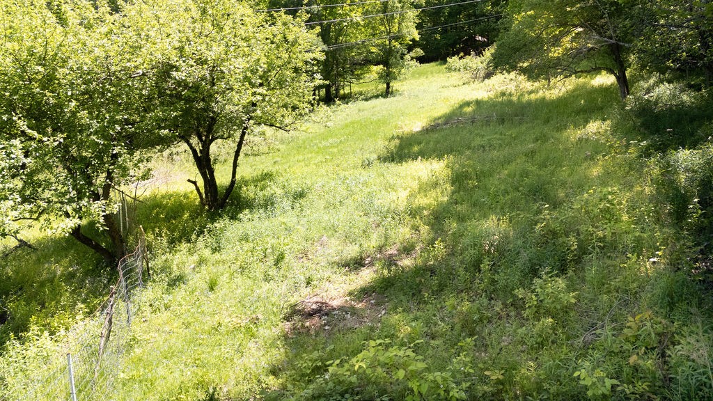 415 Cape Horn Road Gilboa, NY 12167 - Photo 14 of 38 upper back yard
