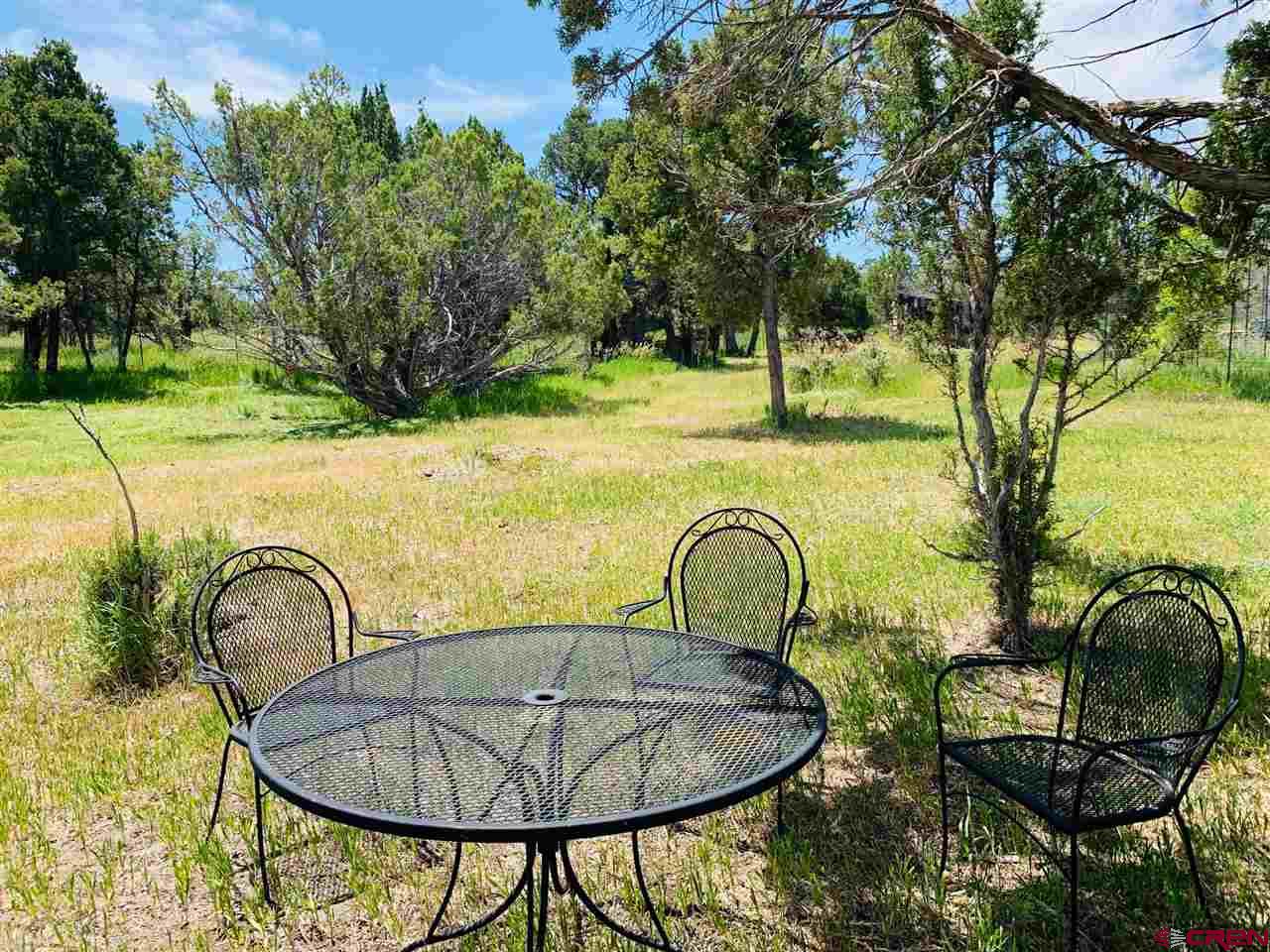 678 3375th Road Crawford, CO 81415 - Photo 18 of 42 a backyard of a house with table and chairs