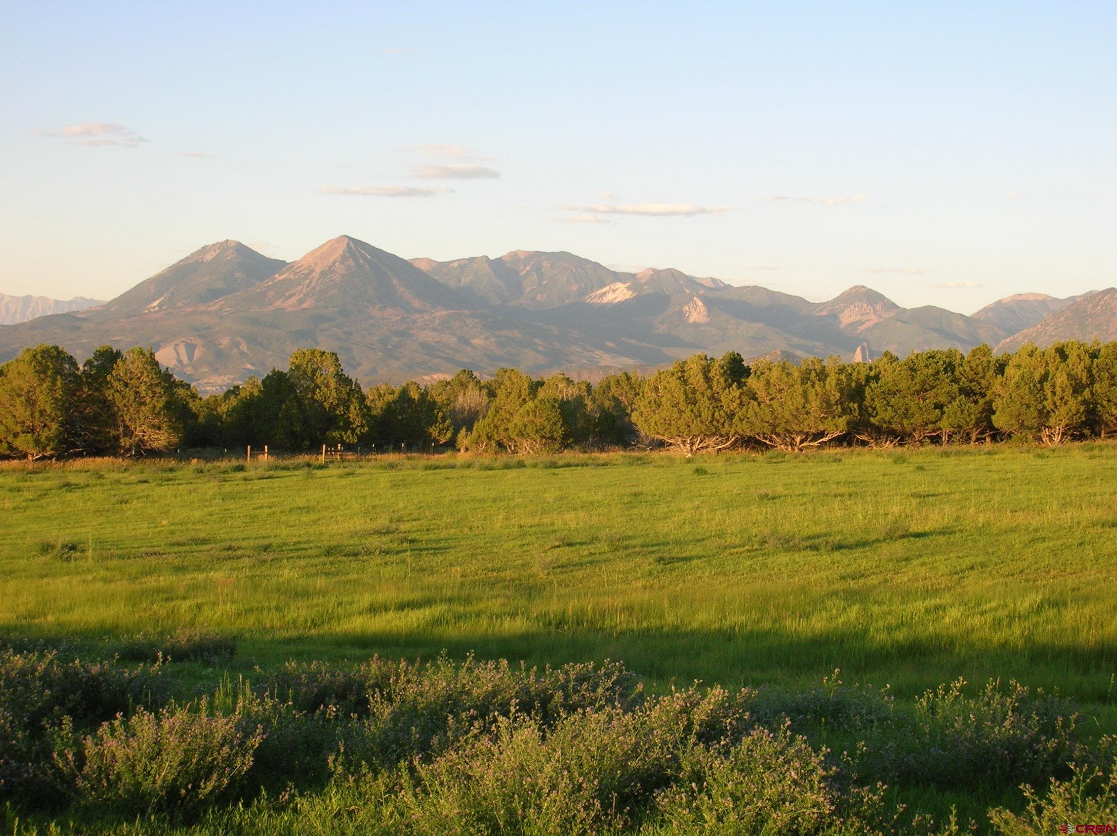 678 3375th Road Crawford, CO 81415 - Photo 2 of 45