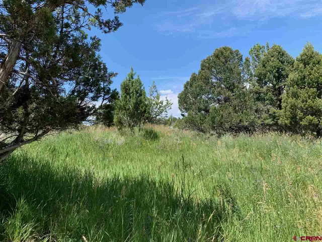 $425,000 | 678 3375th Road, Crawford, CO 81415