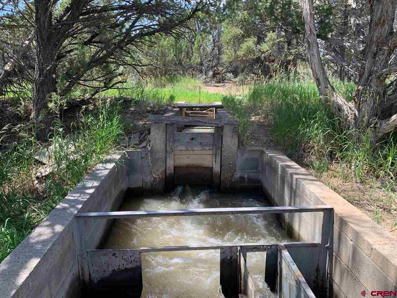 678 3375th Road Crawford, CO 81415 - Photo 29 of 45