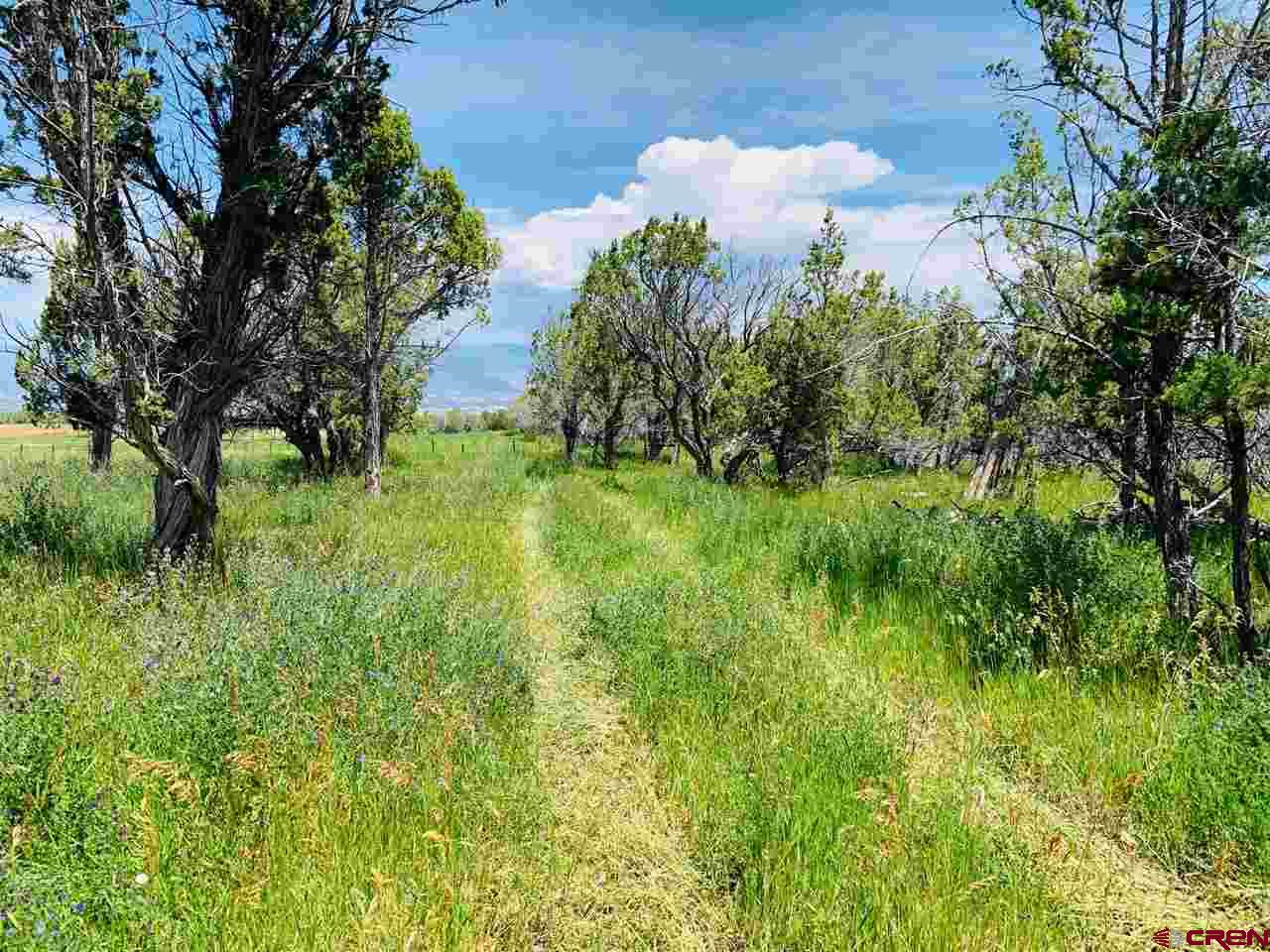 678 3375th Road Crawford, CO 81415 - Photo 36 of 42 a backyard of a house with lots of green space