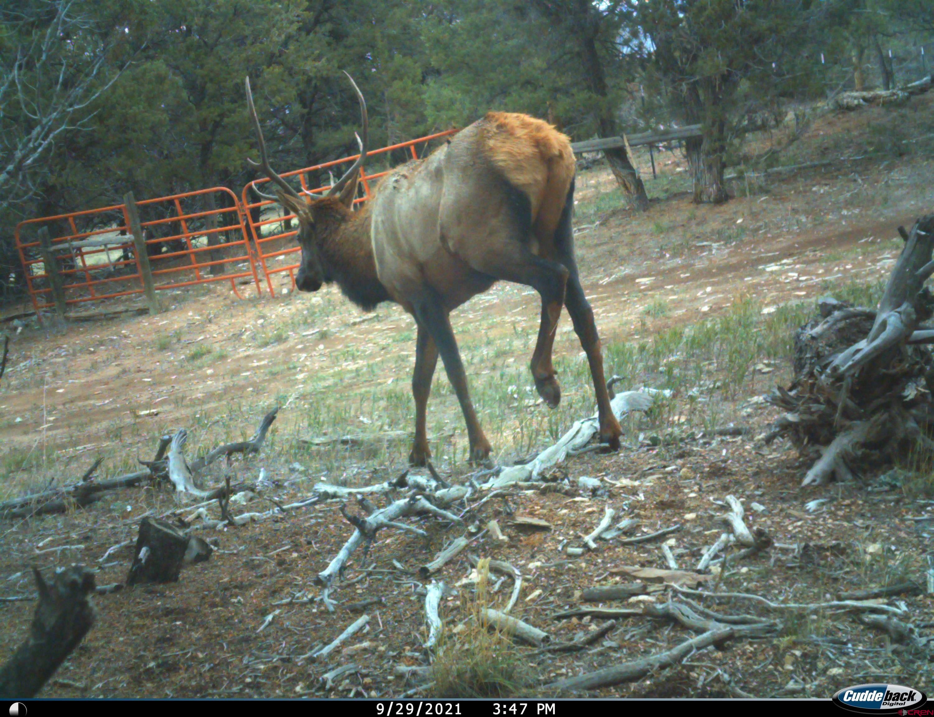 678 3375th Road Crawford, CO 81415 - Photo 38 of 45