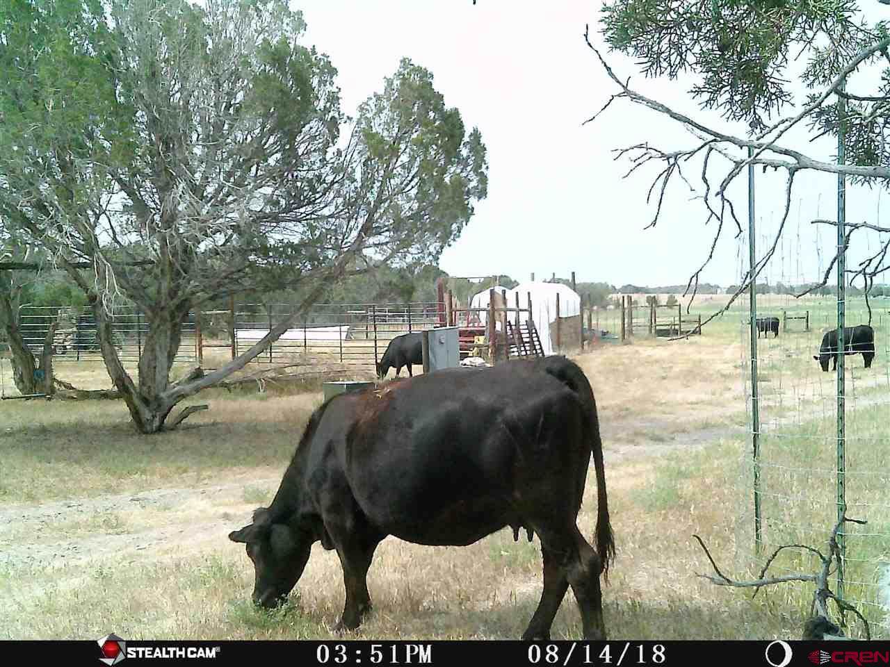 678 3375th Road Crawford, CO 81415 - Photo 40 of 45