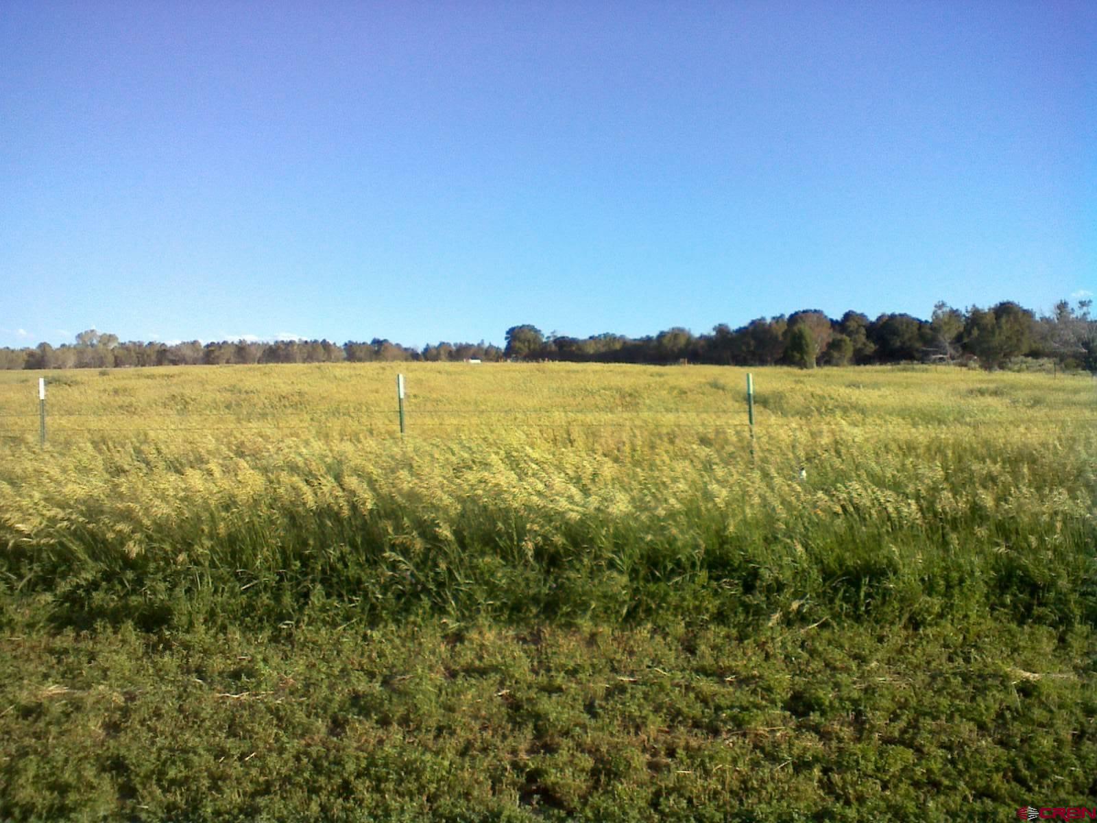 678 3375th Road Crawford, CO 81415 - Photo 41 of 45