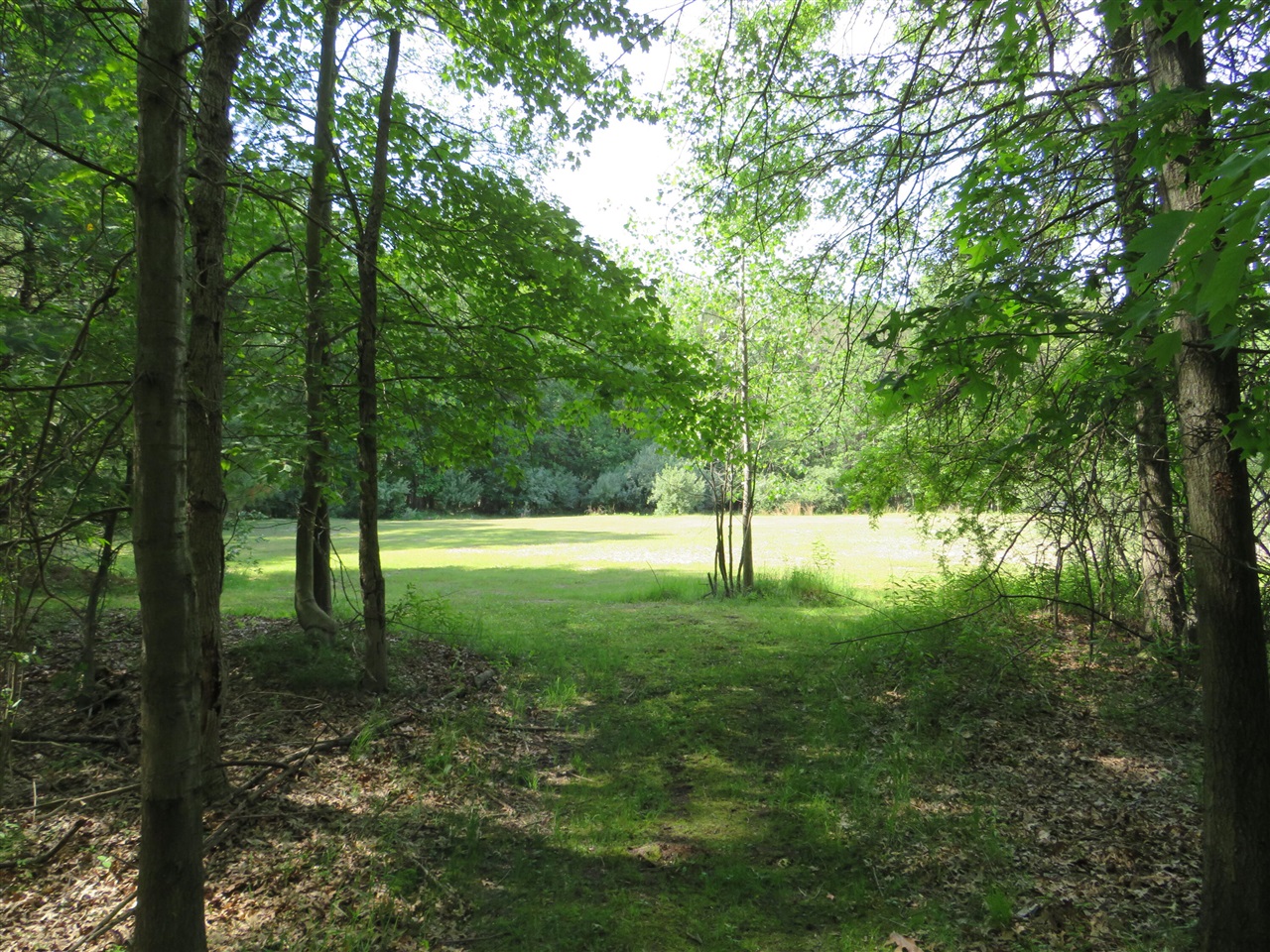 9593 Oakley Road St. Charles, MI 48655 - Photo 78 of 86