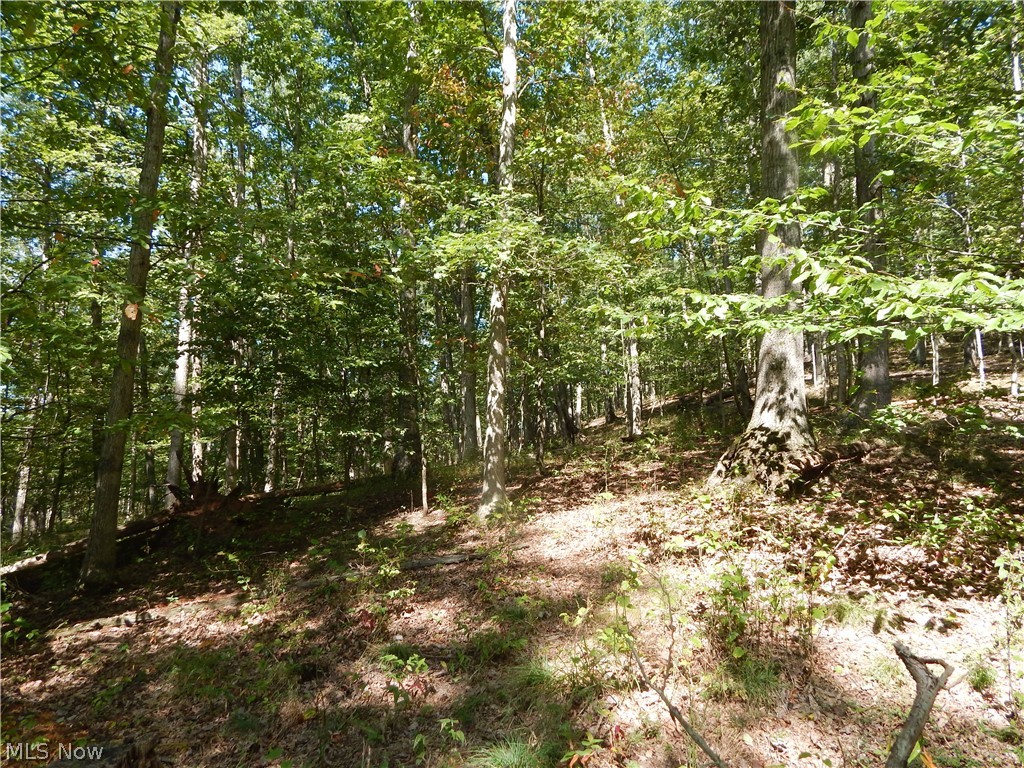 Brushy Fork Road Cairo, WV 26337 - Photo 21 of 29 Gallery Image 21