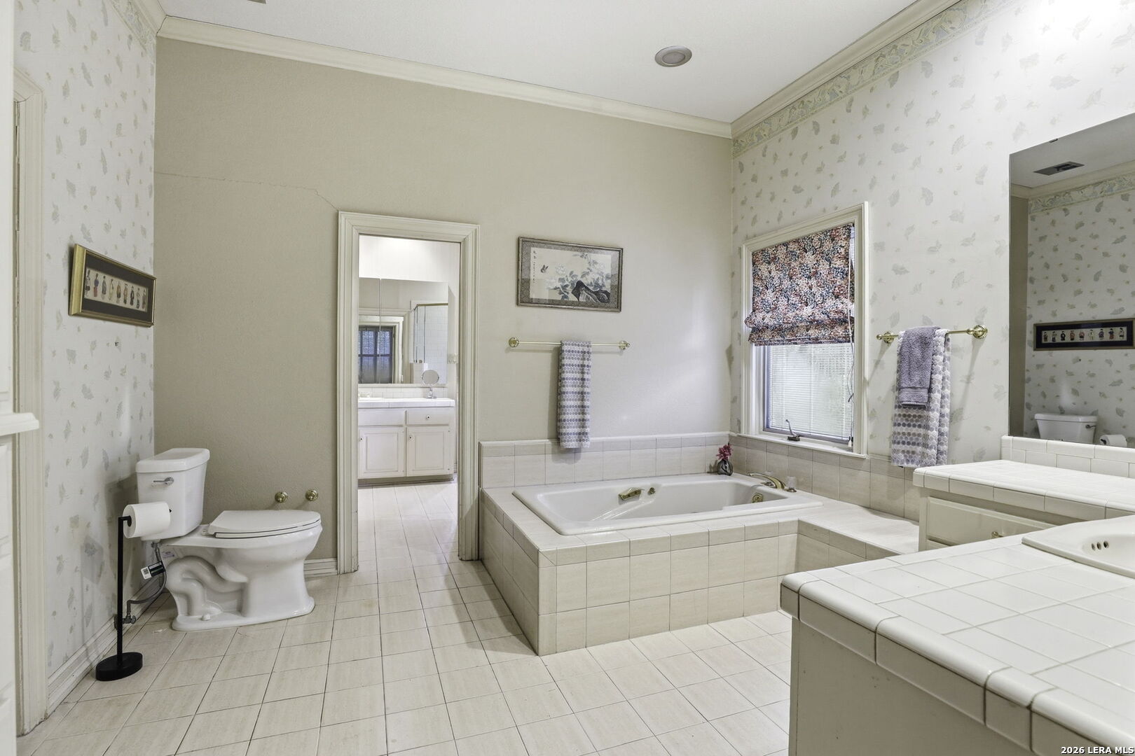 21759 Forest Waters Circle Garden Ridge, TX 78266 - Photo 18 of 30 a bathroom with a sink a toilet and a bathtub