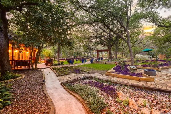 a view of a yard with plants