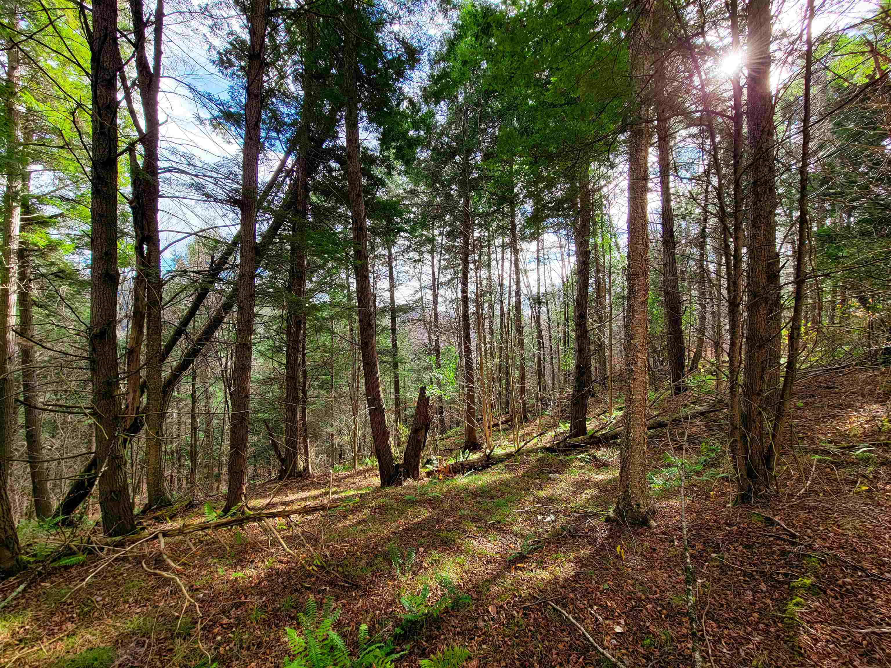 566 Community Drive Randolph, VT 05061 - Photo 31 of 52