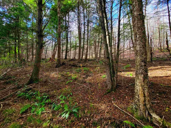 $635,000 | 566 Community Drive, Randolph, VT 05061