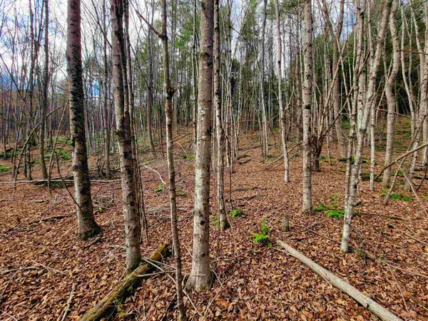 $635,000 | 566 Community Drive, Randolph, VT 05061