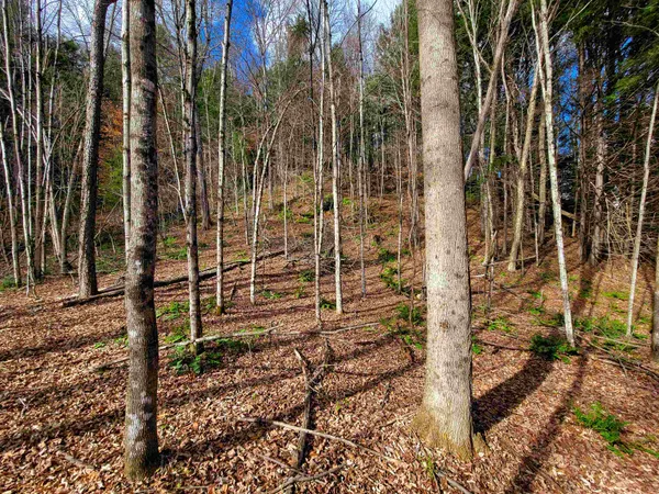 $635,000 | 566 Community Drive, Randolph, VT 05061