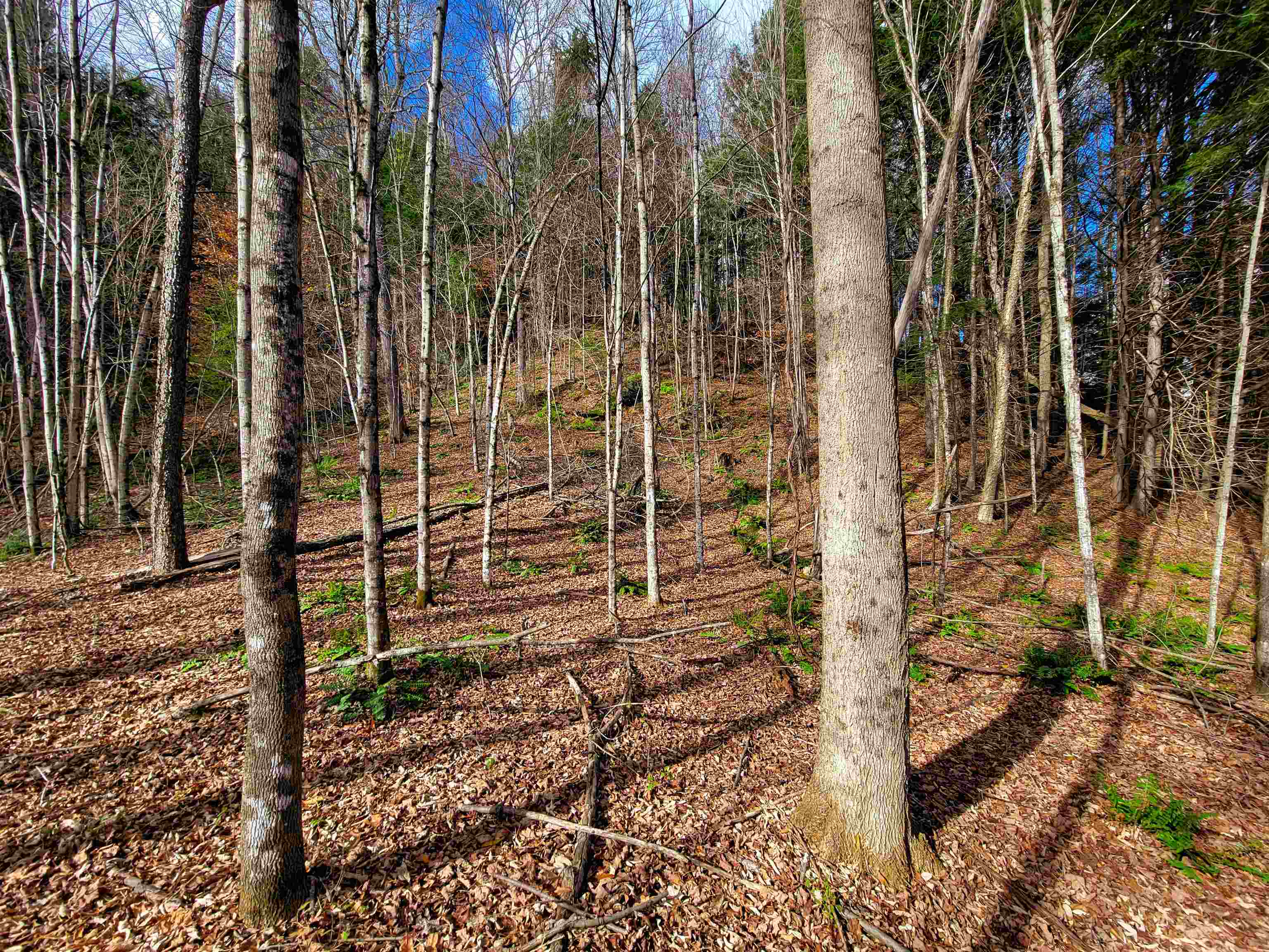 566 Community Drive Randolph, VT 05061 - Photo 34 of 52
