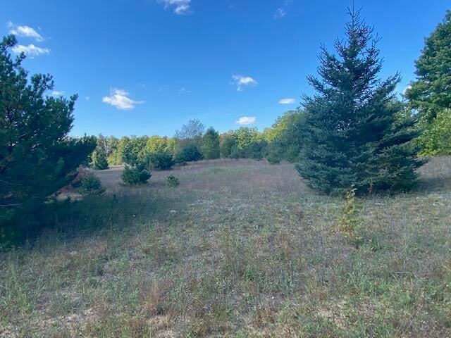 East Simpson Road Mancelona, MI 49659 - Photo 1 of 17 Gallery Image 1