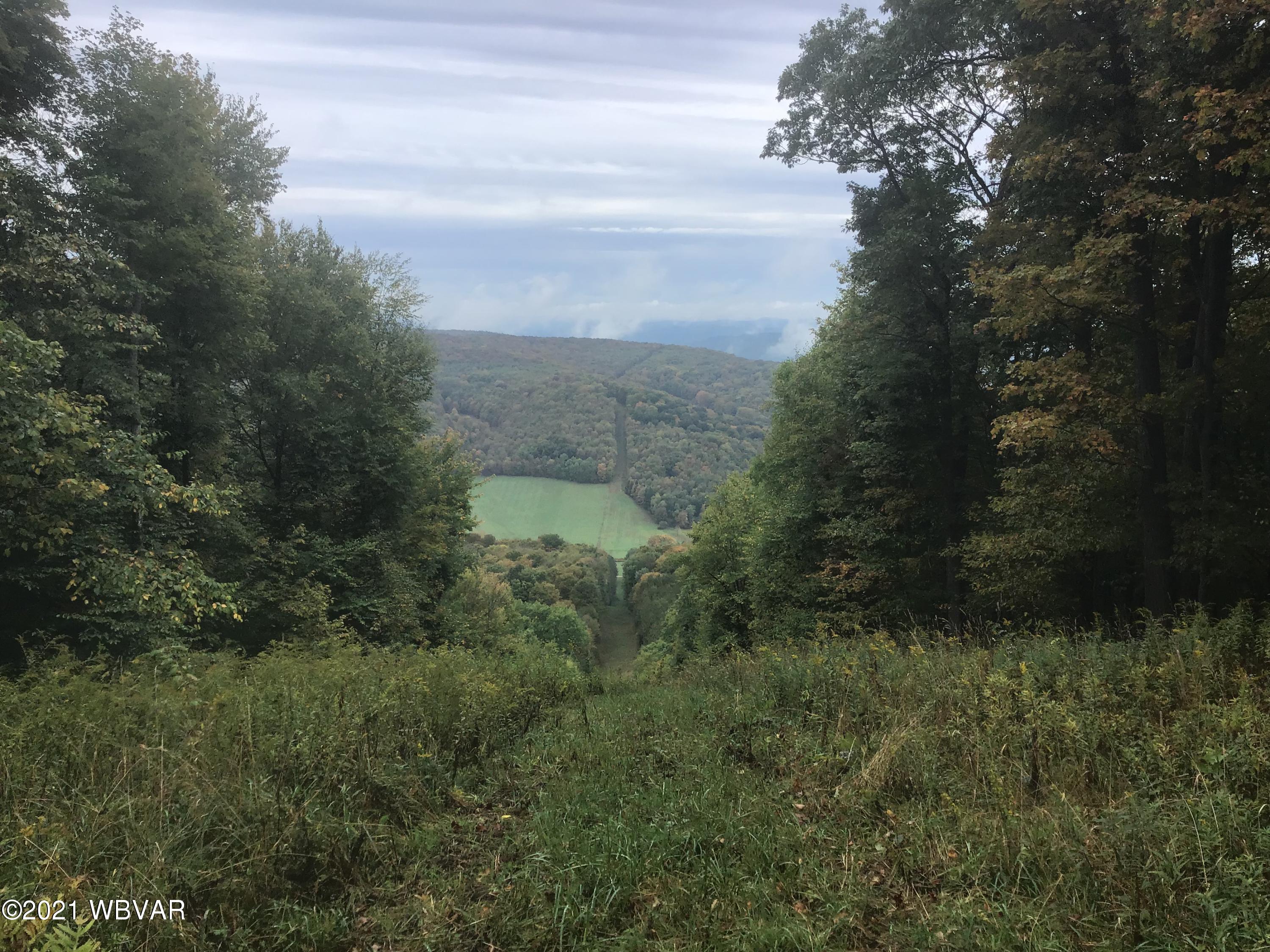 Canada Hollow Road Shinglehouse, PA 16748 - Photo 1 of 22 Gallery Image 1