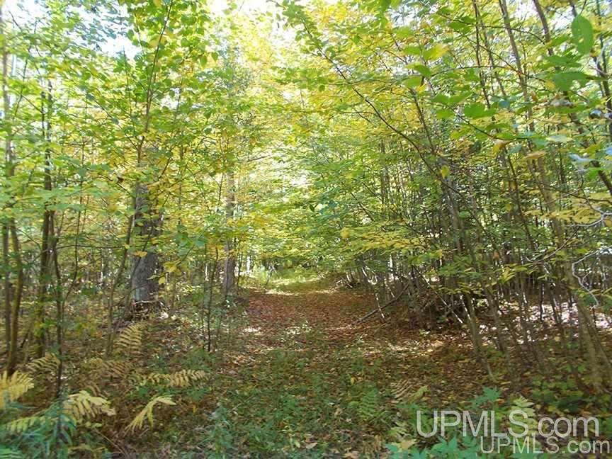 Tbd Burrell Road Gulliver, MI 49840 - Photo 13 of 13 Gallery Image 13