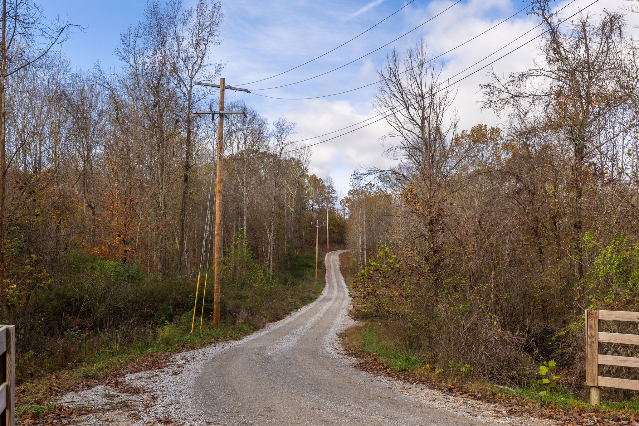 0 Lake Ridge Drive Stewart, TN 37175 - Photo 17 of 43 a view of a pathway with a wrought fence