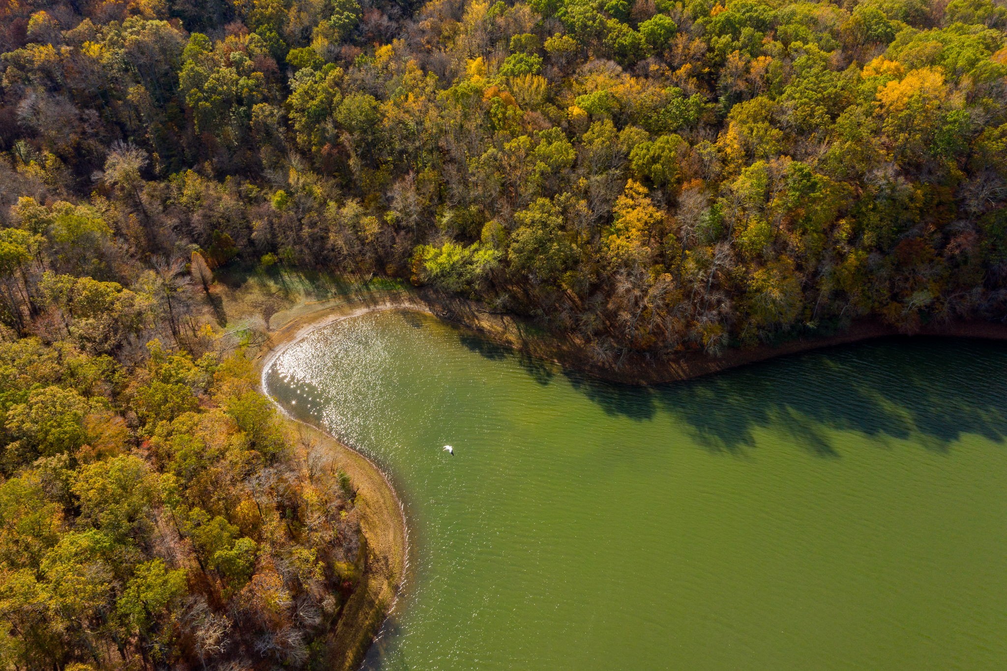 0 Lake Ridge Drive Stewart, TN 37175 - Photo 33 of 43 a view of a lake from a yard