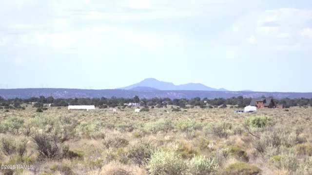 a view of city and mountain