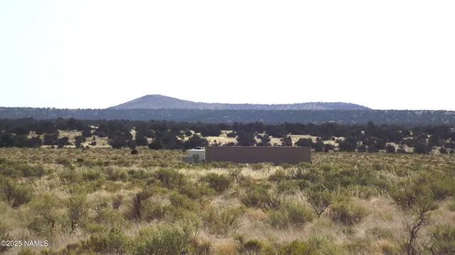 a view of a large mountain with green field and mountains