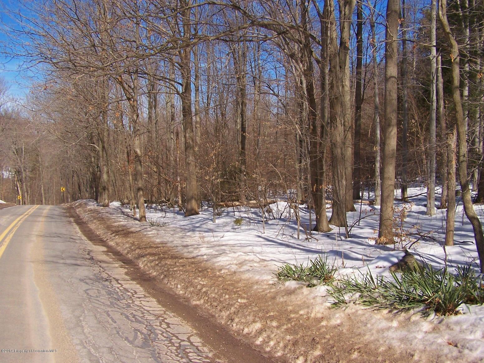 279 Tulip Road Harveys Lake, PA 18618 - Photo 25 of 31 Gallery Image 25