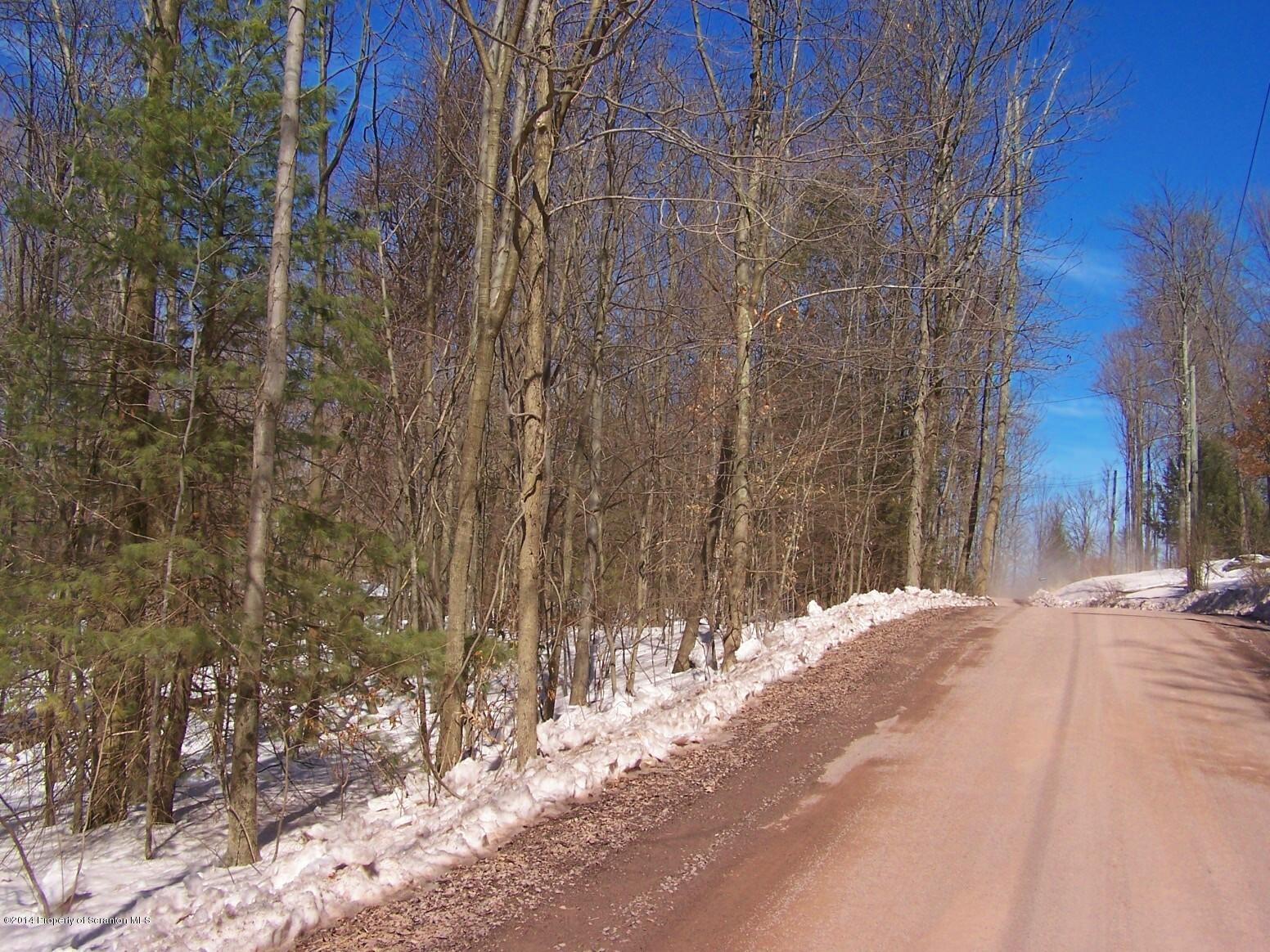 279 Tulip Road Harveys Lake, PA 18618 - Photo 27 of 31 Gallery Image 27