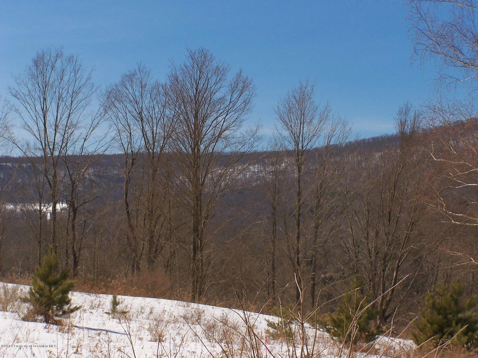 279 Tulip Road Harveys Lake, PA 18618 - Photo 29 of 31 Gallery Image 29
